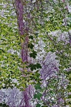 N 011D